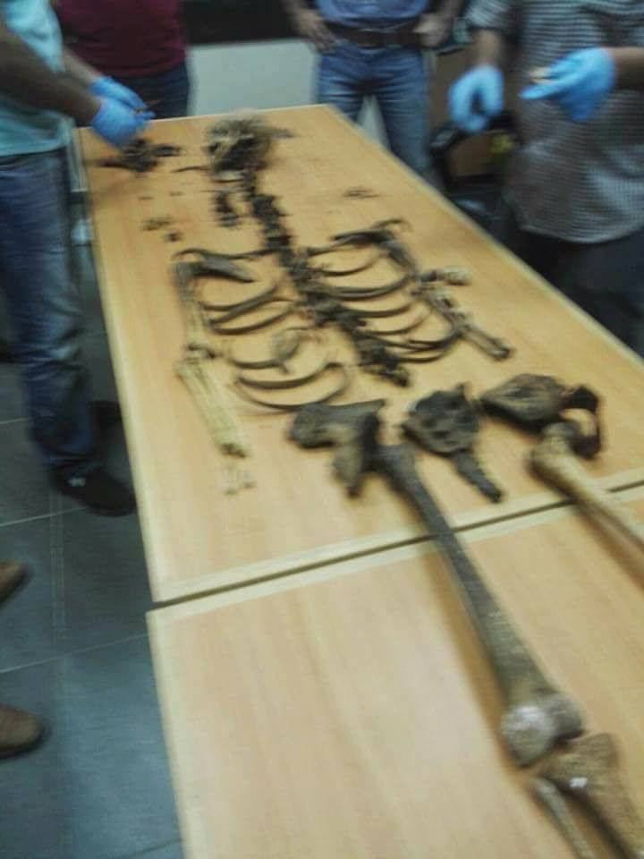 رام الله ... الكشف عن جريمة قتل بحق فتاة وقعت قبل 25 عاما في قرية رمون 